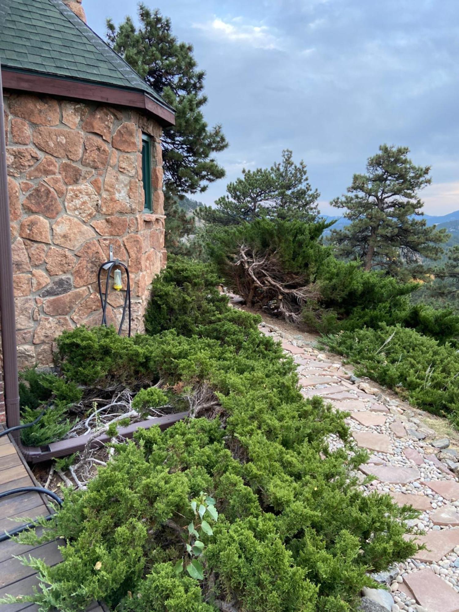 אוורגרין Colorado Bed & Breakfast With Beautiful Views מראה חיצוני תמונה